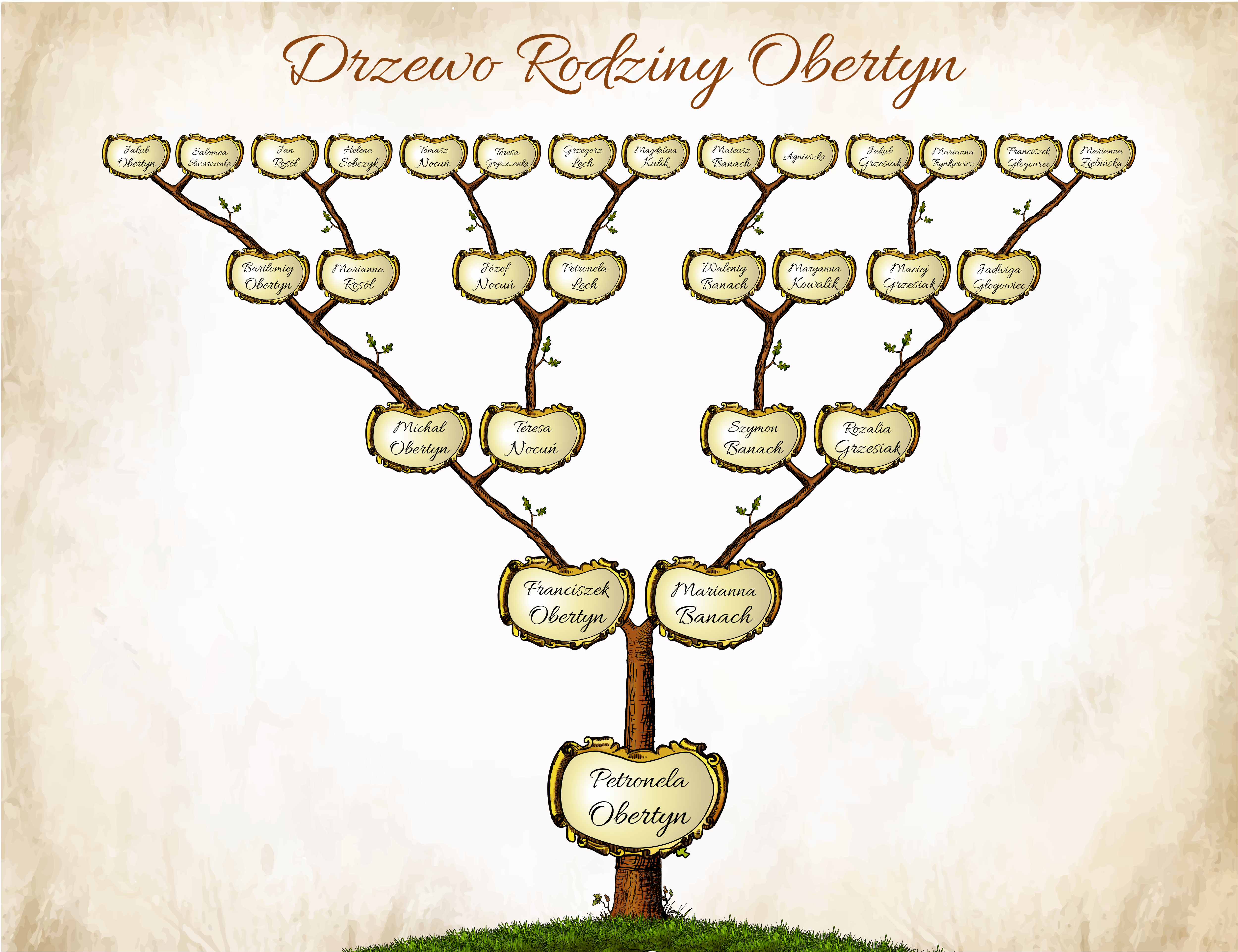 5 pokoleń - pojedyncze 2