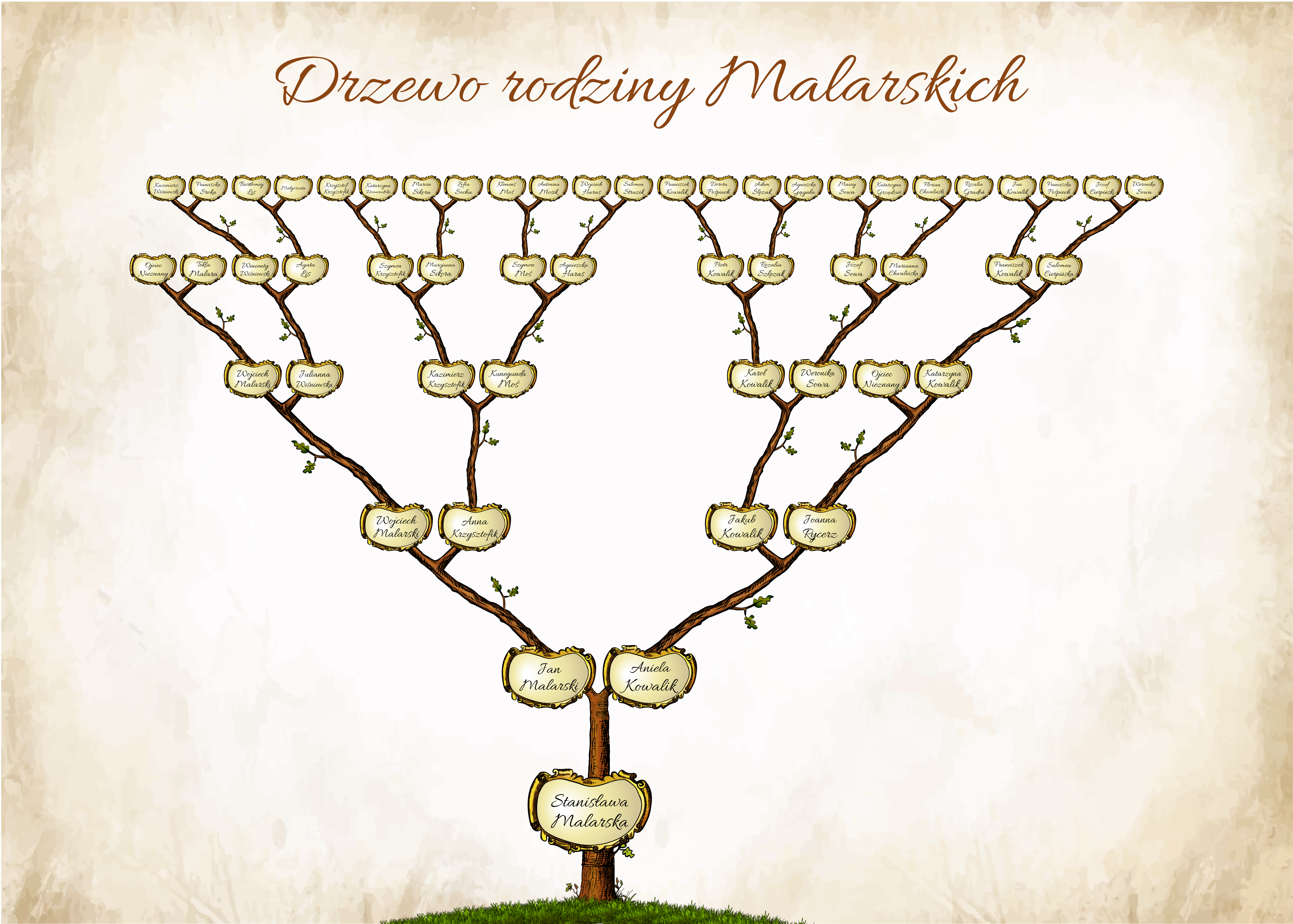 6 pokoleń - pojedyncze