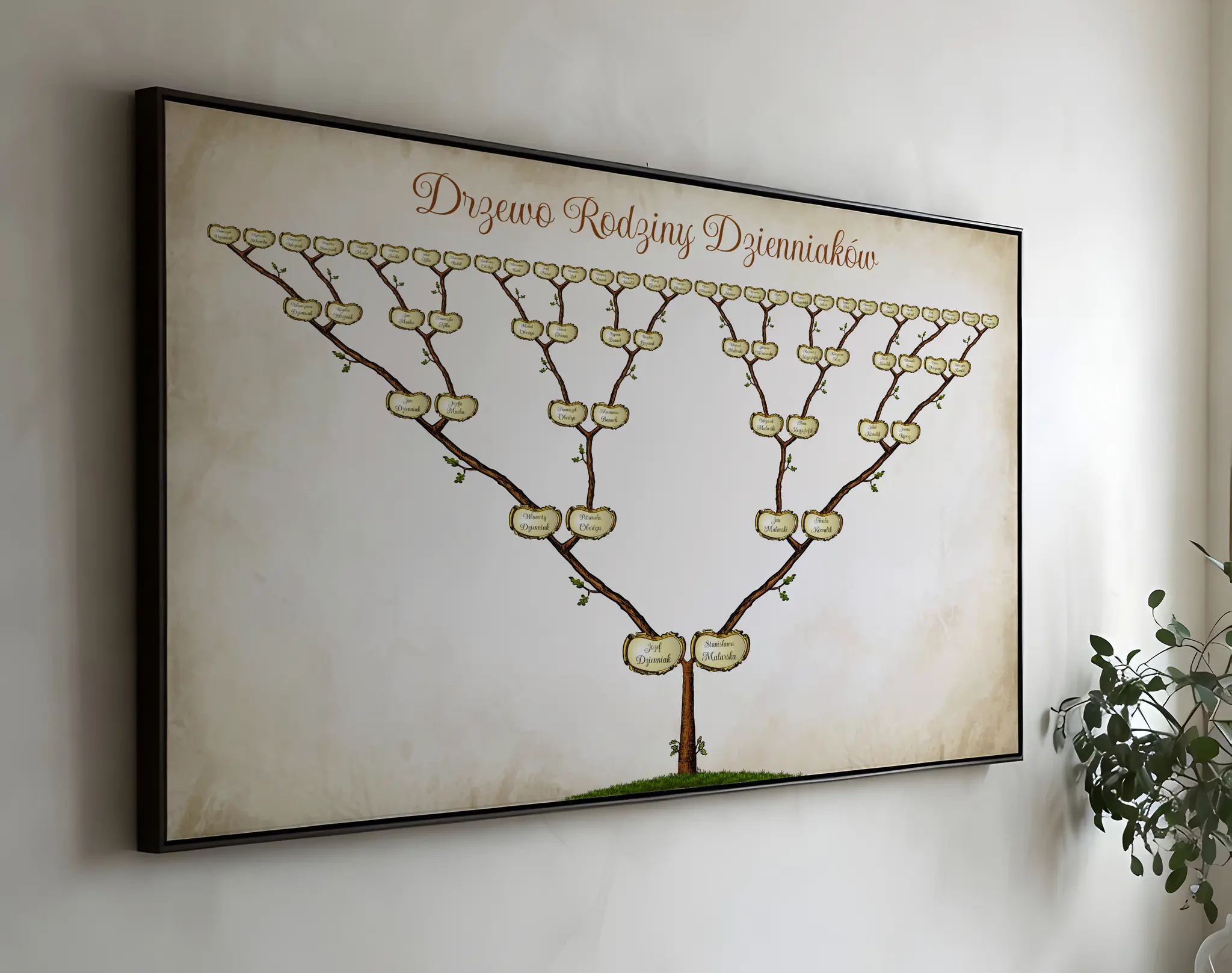 Drzewo genealogiczne